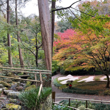 Shuzenji Historical Hot springs