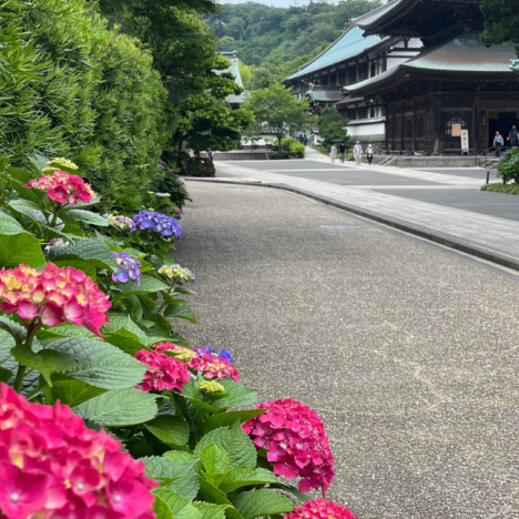 Amazing view Mt. Nokogiriyama!