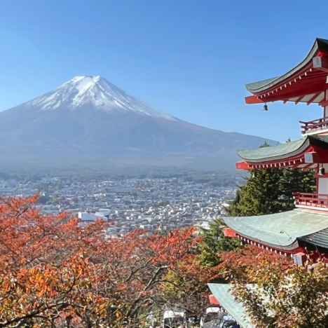 Journey to the Geopark of Naka Izu