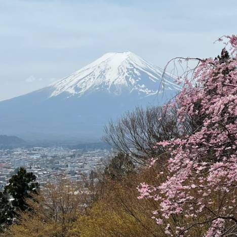 Discover the Enchanting Tokyo Imperial Palace!