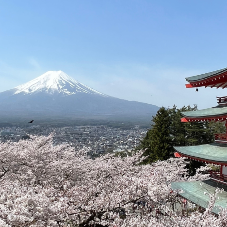 Autumn Splendor in Tohoku: Explore Akita and Iwate’s Hidden Treasures