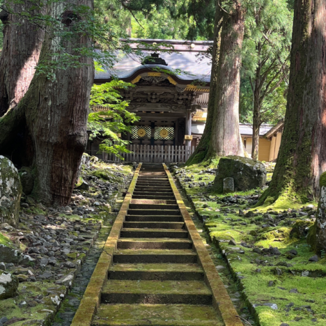 Discover the Secret of Japan’s Gastronomic Gem: Wasabi!