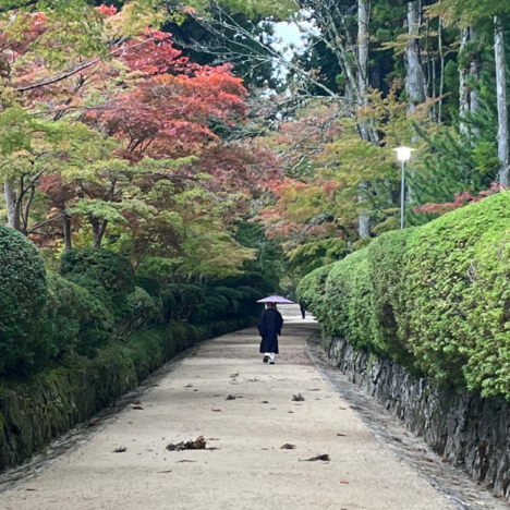 Explore the Spirit and History of Samurai: Uncovering Timeless Warriors