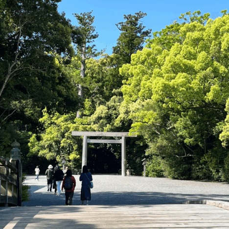 Embrace the Spirit of Japan: Travel Tips for an Enriching Experience