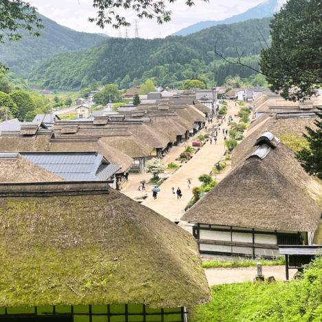 A Magical Journey Through Shrines—Tips for an Unforgettable Visit