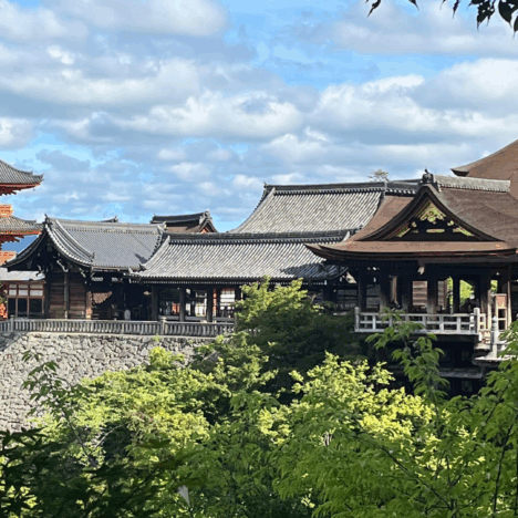 How to Embrace the Heat: Enjoying Summer in Japan Like Never Before