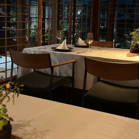 Chasing Crimson Dreams: An Autumn Adventure from Tokyo to Tohoku