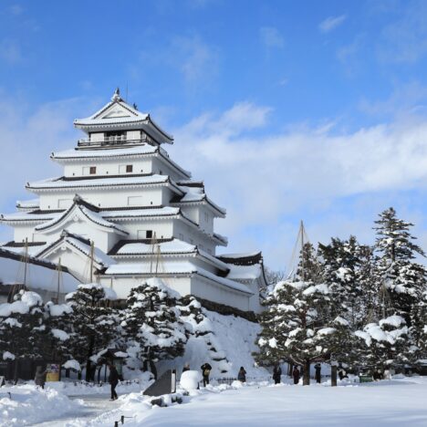 Insider Tips for a Smooth and Personalized Trip to Japan