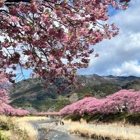 A Journey into Samurai City — Discovering Aizu, Where History Breathes