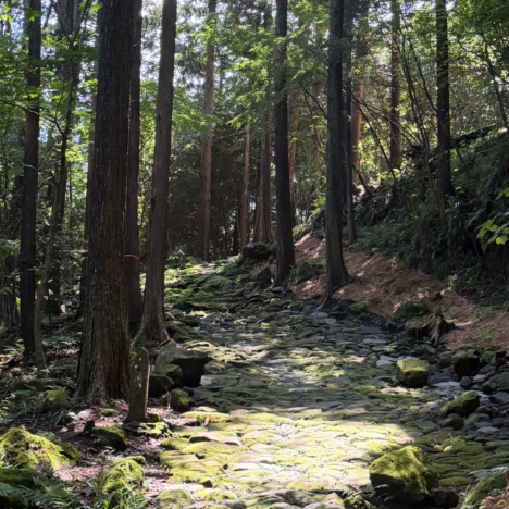 A Relaxed, Magical Way to Experience Japan’s Samurai Road